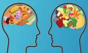 مصرف فست فود در دوران نوجوانی حافظه را برای همیشه مختل می‌کند!