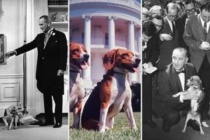 حیوانات خانگی روسای جمهور آمریکا در کاخ سفید/ عکس
