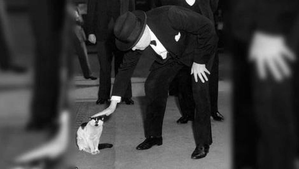وینستون چرچیل و عکس معروفش با گربه!