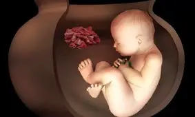 آیین عجیب تدفین ایرانیان باستان؛ 2 جنین 6500 ساله در تپه چپرآباد ایران کشف شدند

