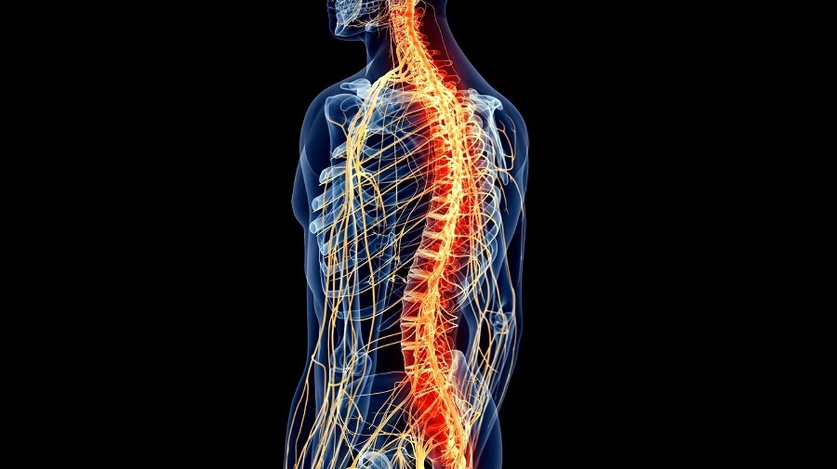 ۱۱ حقیقت شگفتانگیز درباره مغز