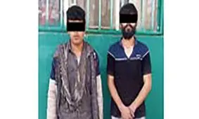 عاملان دستبرد به باغ ویلاها دستگیر شدند 