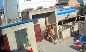 افتادن در آهنی بزرگ روی سر ۲ بچه بازیگوش و یک سگ/ ویدئو