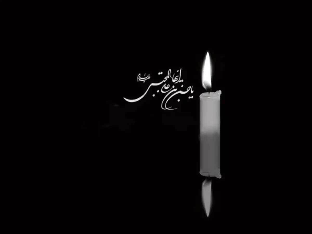 امام حسن (ع) با صلح خود، خط اسلام واقعی را روشن کرد

