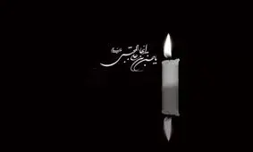 امام حسن (ع) با صلح خود، خط اسلام واقعی را روشن کرد

