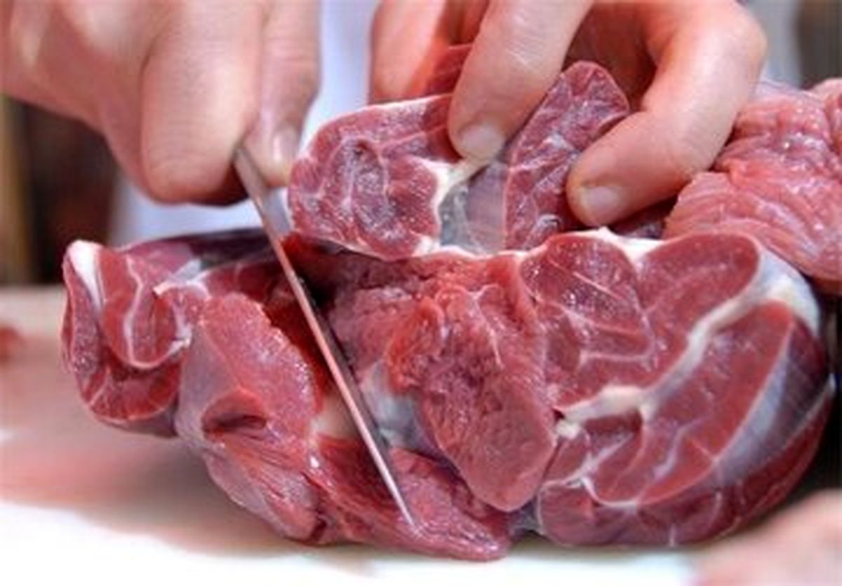 آغاز واردات گوشت قرمز به کشور/ قیمت گوشت ارزان می‌شود؟