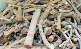 اشد مجازات برای جاعل مجوز منابع طبیعی در دزفول

