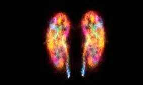 شاید آغاز بیماری پارکینسون از مغز نباشد!

