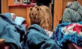 «پایتخت ۷» حیوان‌آزاری کرد؟