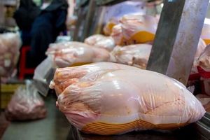 زمزمه‌های افزایش قیمت مرغ بعد از تعطیلات عید فطر!

