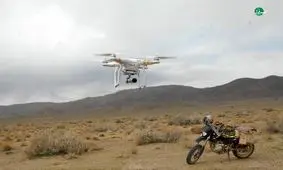 آغاز سرشماری سراسری حیات‌وحش در کشور