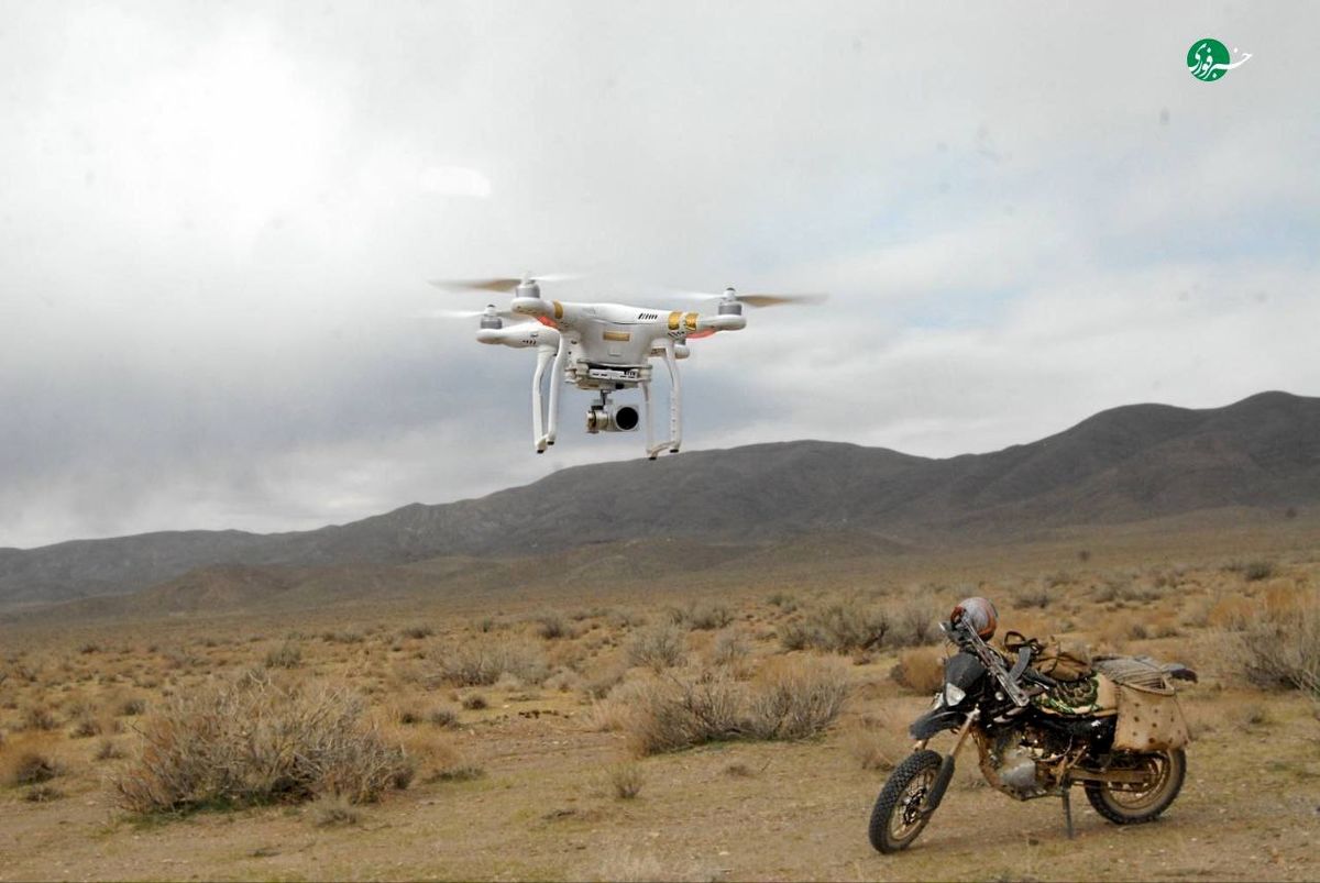 آغاز سرشماری سراسری حیاتوحش در کشور