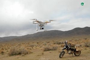 آغاز سرشماری سراسری حیات‌وحش در کشور