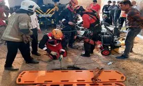 مرگ غم انگیز ۲ مقنی در یک گاوداری