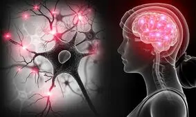 ویروس کرونا در مغز تونل سازی می کند