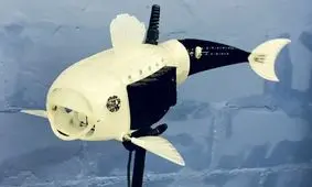 حذف آلودگی دریاچه ها به کمک ربات ماهی‌