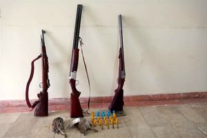 دستگیری دو گروه شکارچی غیر مجاز در زیستگاه‌های مشگین شهر