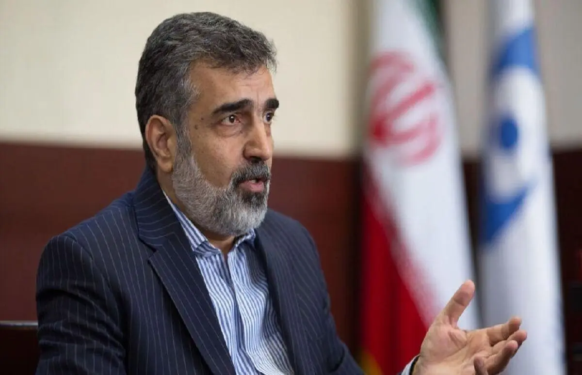  رییس سازمان انرژی اتمی به‌طور رسمی از مدیرکل آژانس برای سفر به ایران، دعوت کرد