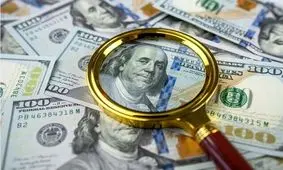 کدام شرکت ها بیشترین ارز ترجیحی را دریافت کردند؟/ اینفوگرافیک