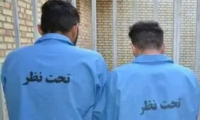 راز پژوی بدون پلاک