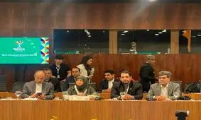 ایران خواستار تشکیل صندوق نوآوری سبز بریکس شد