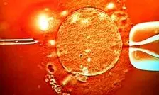 خطایی که 197 کودک را در خطر سرطان قرار داد/ عده‌ای از کودکان کشته شده‌اند