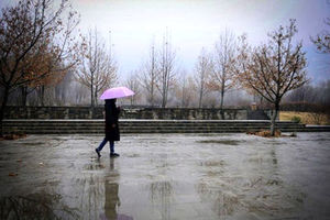 رگبار باران در برخی استان ها