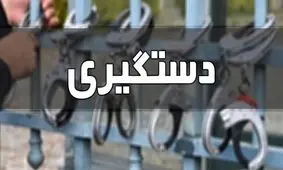‍ ضربه اطلاعات به یک شبکه ارتشاء در نهاوند/ ۵ نفر دستگیر شدند

