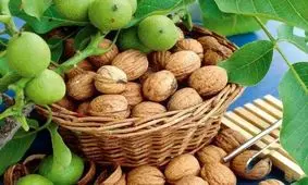 یک جان‌باخته و ۵۲ مصدوم در گردو تکانی استان همدان
