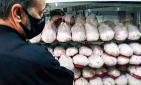  تعیین قیمت مصوب برای مرغ، اشتباه دولت بود/ ویدئو