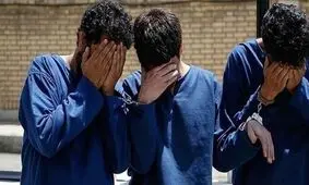 دستگیری ۱۱ سارق در لرستان/ ۱۸ فقره سرقت کشف شد