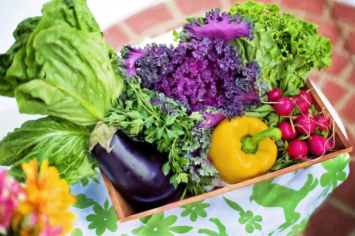 10 نمونه از بهترین سبزیجات برای افزایش طول عمر 