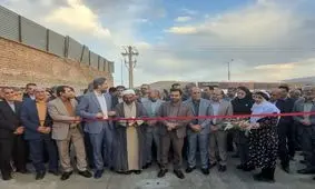 جشنواره زرشک درصدد جلب توجه بخش دانش بنیان، صنعت و ملی 

