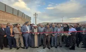 جشنواره زرشک درصدد جلب توجه بخش دانش بنیان، صنعت و ملی 

