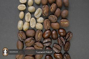 برای خرید قهوه باید چه نکاتی را بدانیم؟