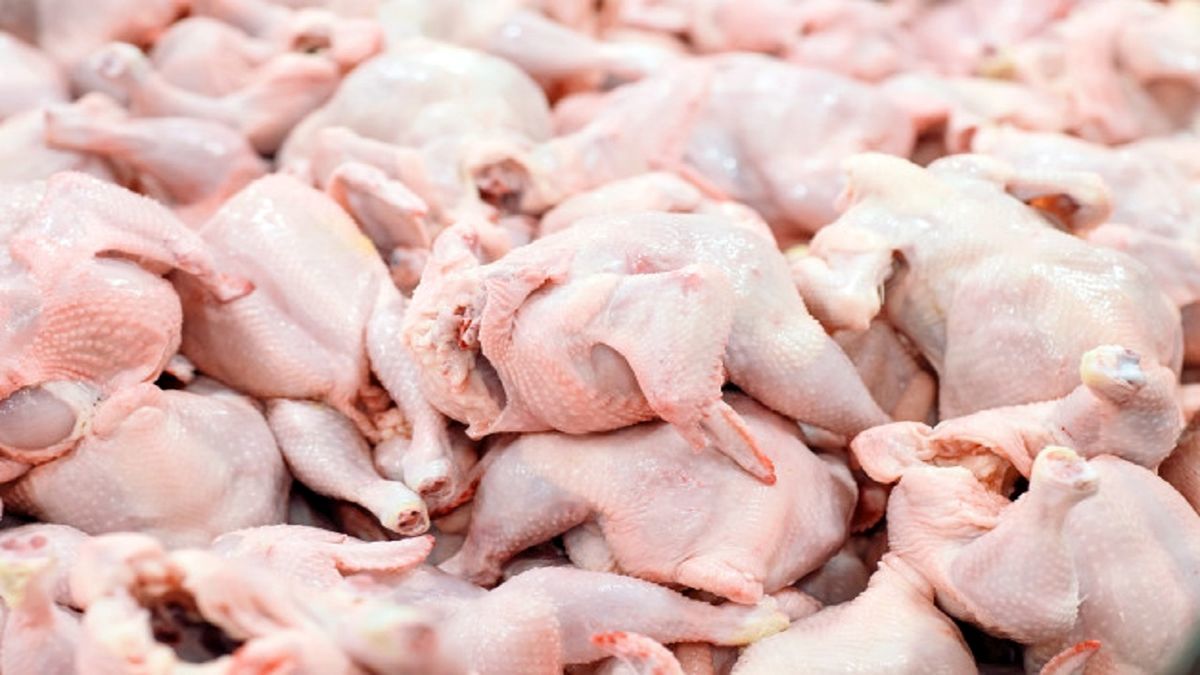 کاهش شدید سرانه مصرف مرغ در کشور


