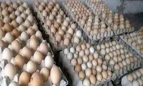 احتکار ۴ تن تخم‌ مرغ در زاهدان