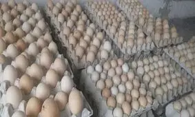 احتکار ۴ تن تخم‌ مرغ در زاهدان
