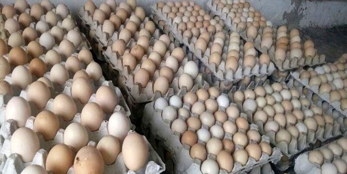 احتکار ۴ تن تخم‌ مرغ در زاهدان