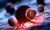 پایان کارآزمایی بالینی روی نانوداروی ضدسرطان حاوی RNA