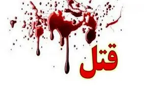 بررسی پرونده یک قتل با حضور ۶۷ قاضی در دیوان عالی