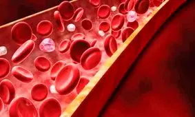 این بیماران بیشتر در معرض خطر مرگ ناشی از کرونا هستند