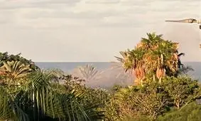 حمله پهپادی به محل اقامت نخست وزیر اسرائیل/ نتانیاهو کشته شد؟/ ویدئو