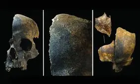 زبان‌ های بریده و استخوان‌ های جویده؛ هولناک‌ترین کشف ما قبل‌ تاریخی بریتانیا