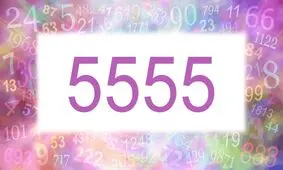 تست هوش/ با توجه به دیگر عبارت پاسخ عبارت 5555=؟ چند می شود؟