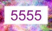 تست هوش/ با توجه به دیگر عبارت پاسخ عبارت 5555=؟ چند می شود؟