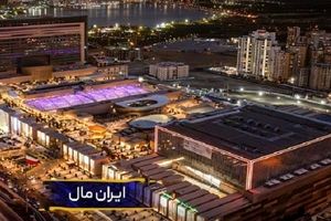 معاون نظارت بانک مرکزی: ایران مال به عنوان دارایی بانک آینده، قیمت گذاری و فروخته خواهد شد/ این بانک 90 درصد از تسهیلاتش را به خودش می داده است/ ویدئو

