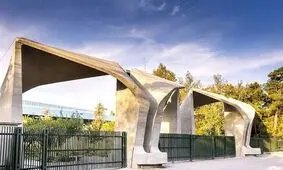 ۲ تن از دانشجویان خود را در حوادث اخیر از دست دادیم
