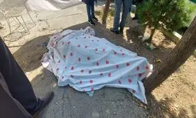 دستگیری ۲ متهم در رابطه با قتل رئیس اسبق پزشکی قانونی