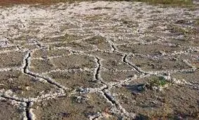 شوری خاک، آلودگی است